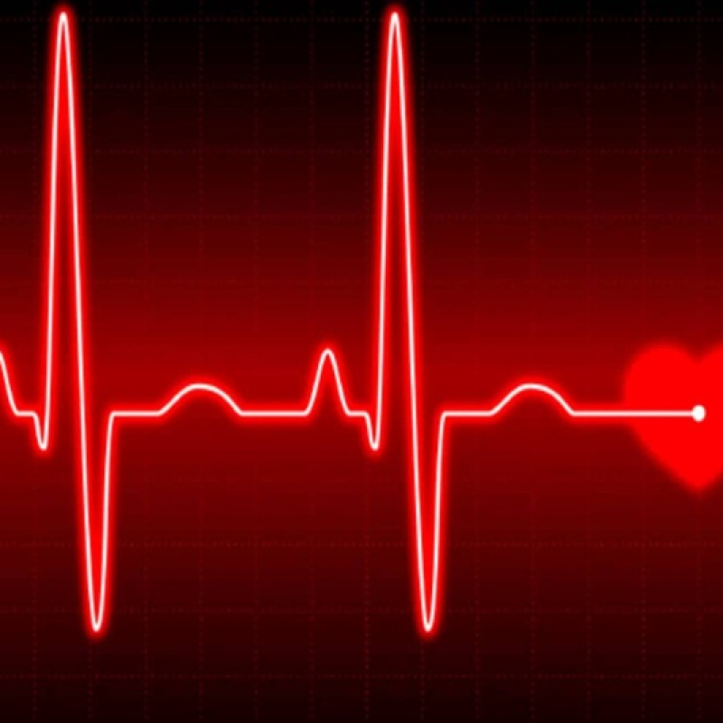 Hướng dẫn đo nhịp tim, nhịp thở trên iPhone cực đơn giản và gợi ý giải pháp vận động phù hợp