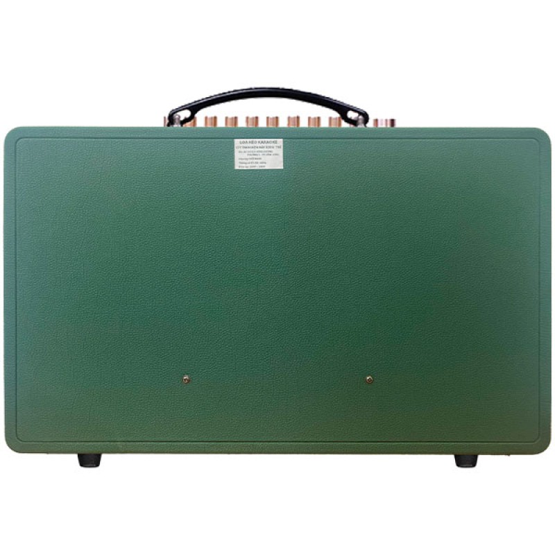 Loa công suất New Discovery T216